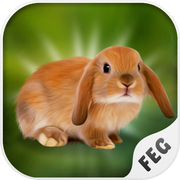 Escape Games - Rabbit River