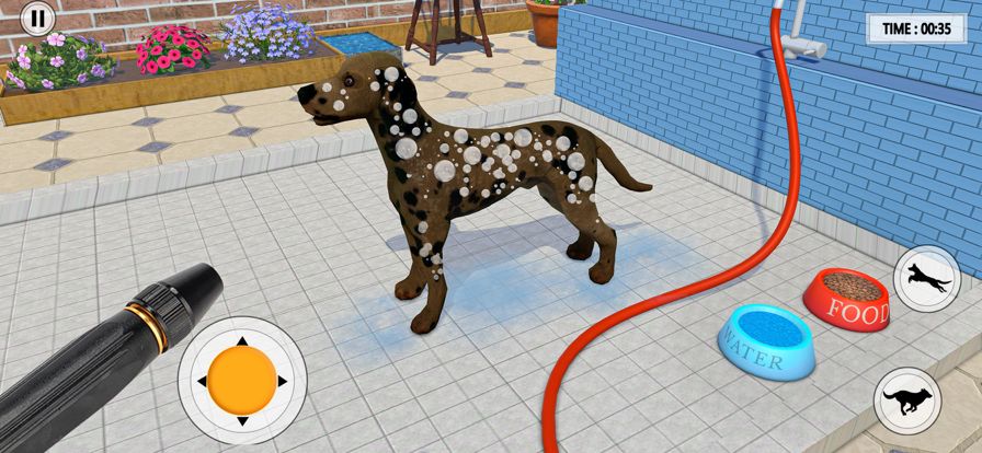 Pet Dog Shelter Cleaning Games游戏截图