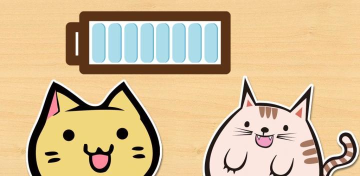 Cat Collection 封面