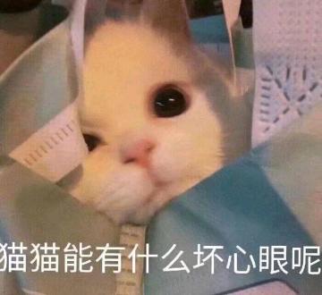 【口令码】三句话，让块友迫不及待打开小环游~