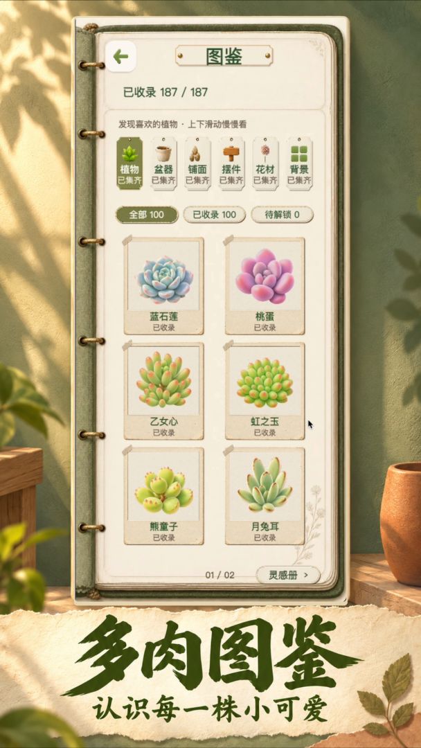 多肉阳台游戏截图