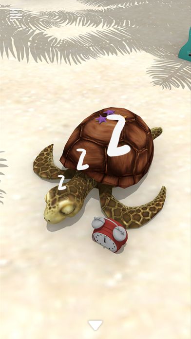 Escape Game: Island游戏截图