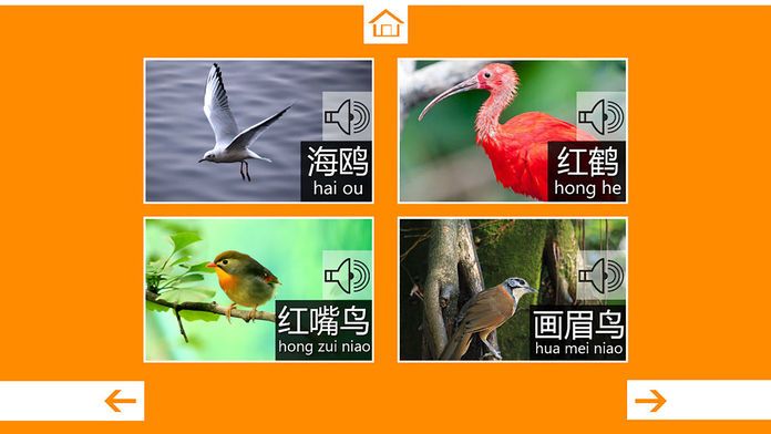 动物叫声-鸟类篇：动物园世界的叫声游戏游戏截图