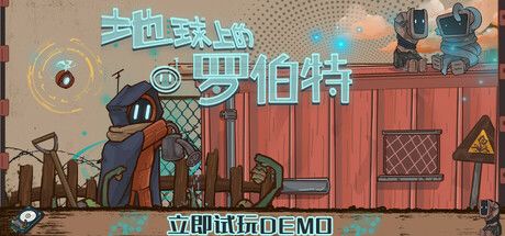 地球上的罗伯特 封面