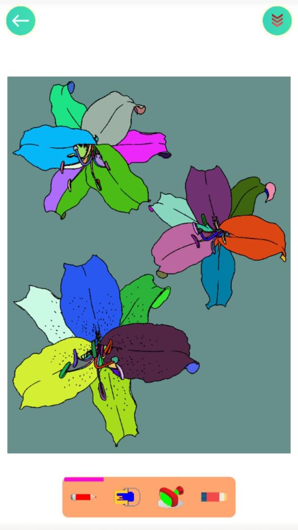 植物涂色世界游戏截图