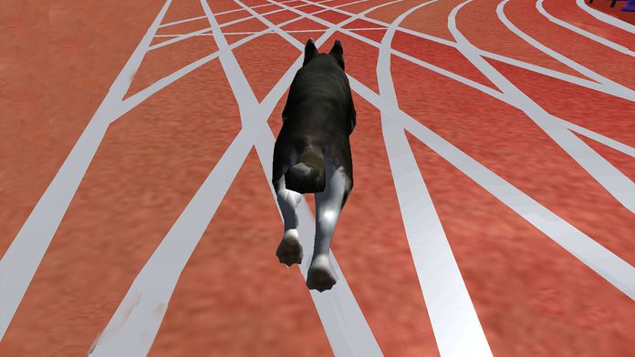 Ultimate Dog Racing : Virtual Stray Simulator 2017游戏截图