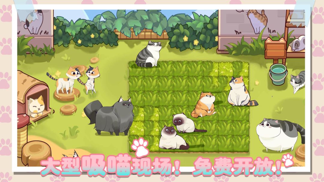 猫咪物语游戏截图