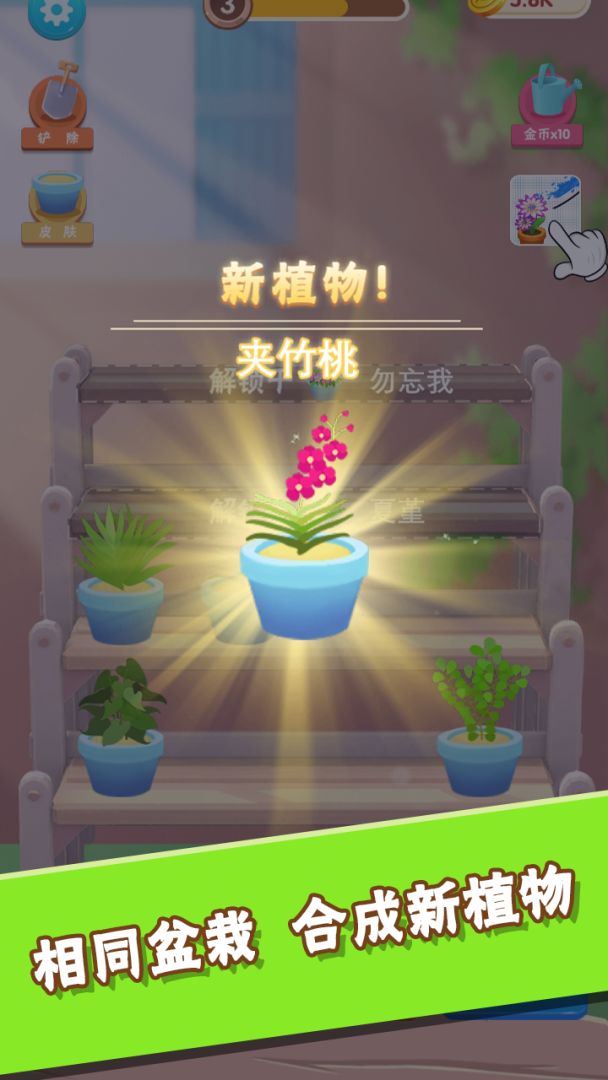 引水浇花游戏截图