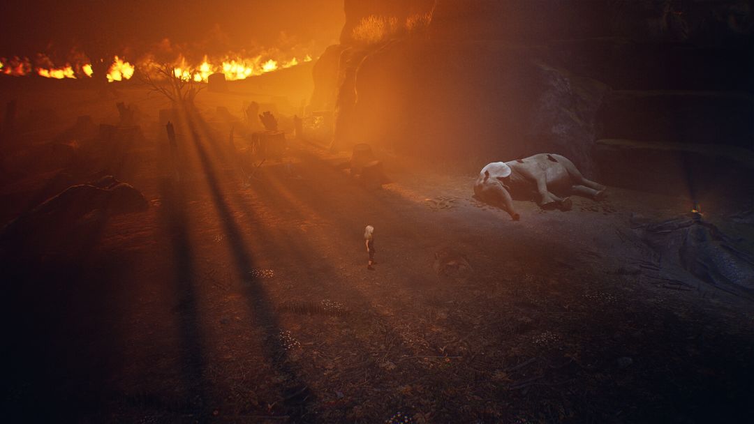 寂静之国的波斯菊游戏截图