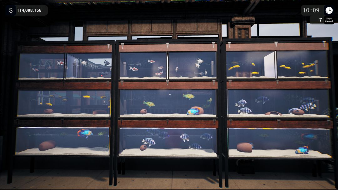 Exotica: Petshop Simulator游戏截图