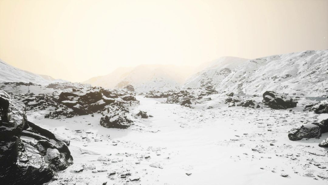 Lushfoil Photography Sim游戏截图