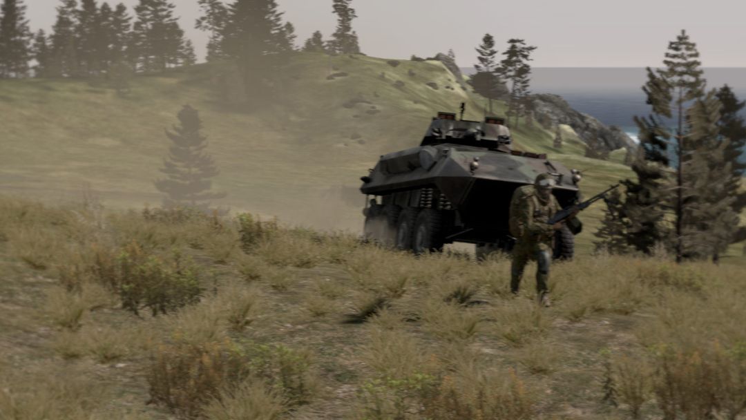 Arma 2游戏截图