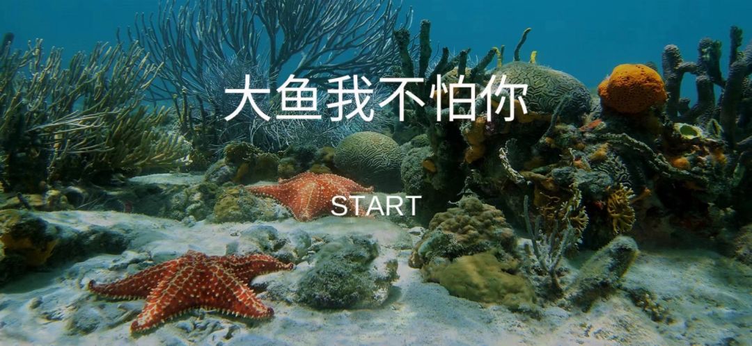大鱼我不怕你游戏截图