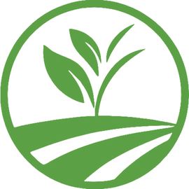 臣妾要告发熹贵妃工作室