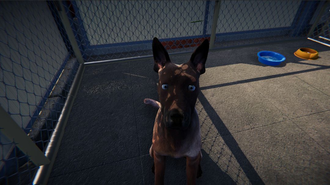 Animal Shelter: Prologue游戏截图