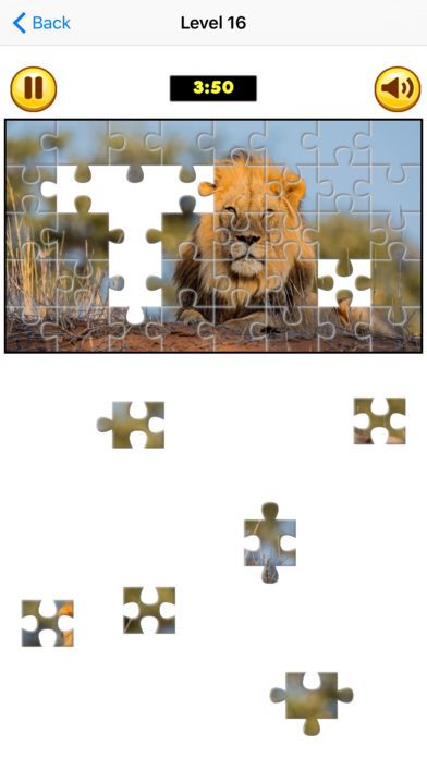 Puzzle Collection Pro: Animals游戏截图