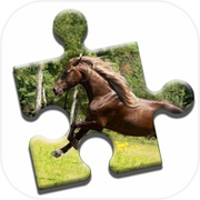 Majestic Horses Puzzle