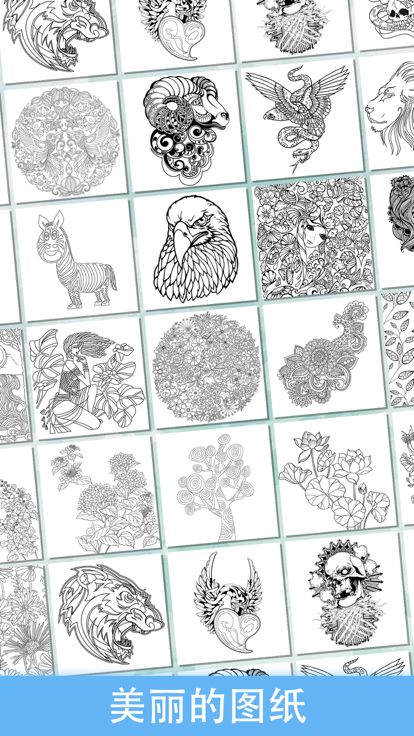 秘密花园 2 - 免费涂鸦的休闲减压中文版小游戏,大家一起来描绘属于自己的魔法森林游戏截图