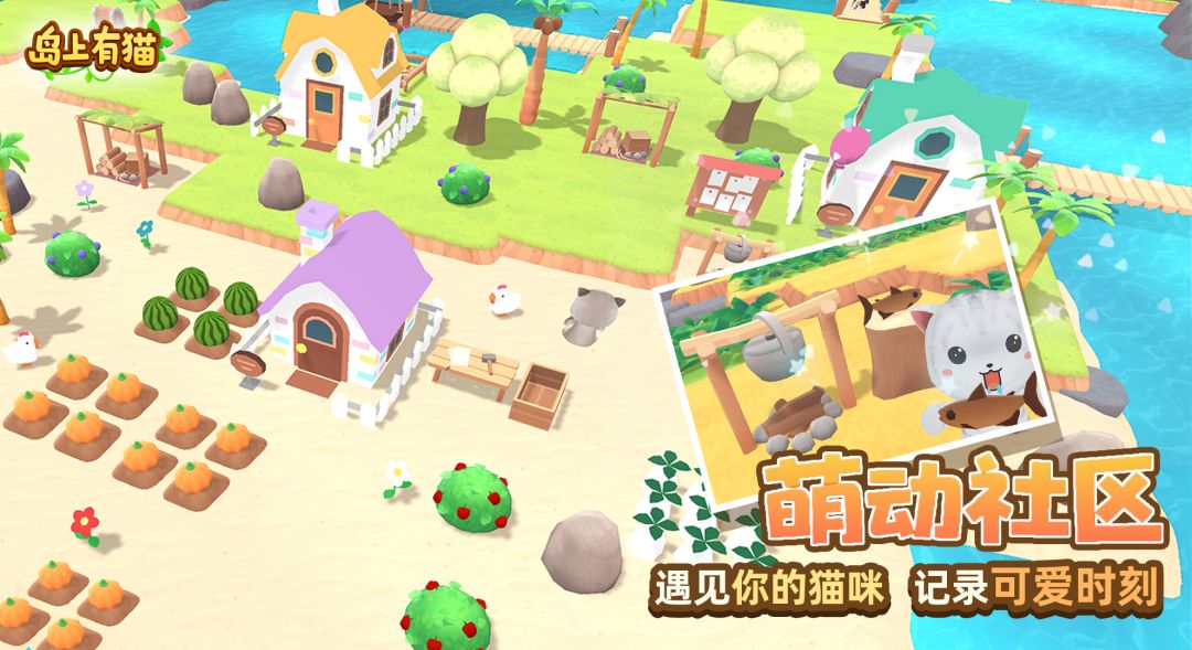 岛上有猫游戏截图