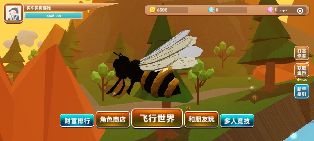 完不成的飞行3D游戏截图