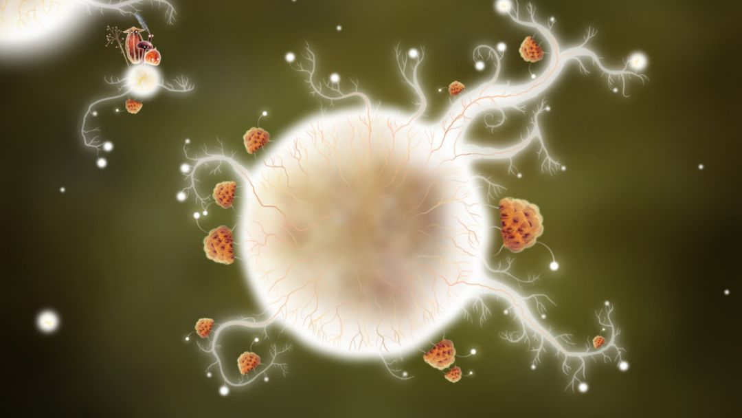 植物精灵 (Botanicula)游戏截图