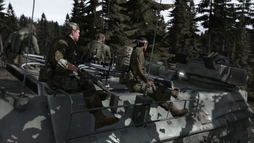 Arma 2游戏截图