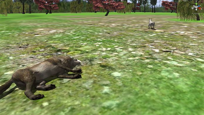 VR 野生动物 狙击手 射手 真实 狩猎 任务 Wildlife Sniper Shooter游戏截图