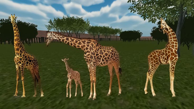 Animal Shelter 3D Safari Zoo游戏截图