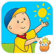 A Day with Caillouicon