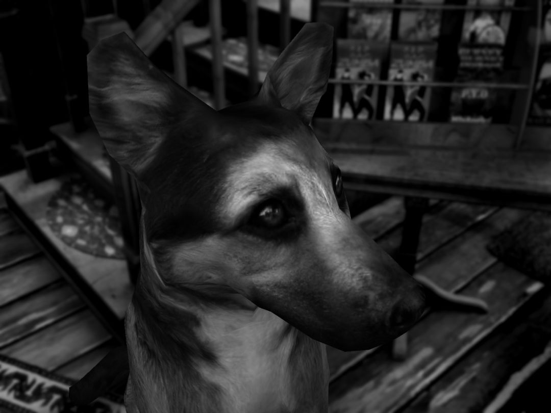 The Last Crown: Midnight Horror游戏截图