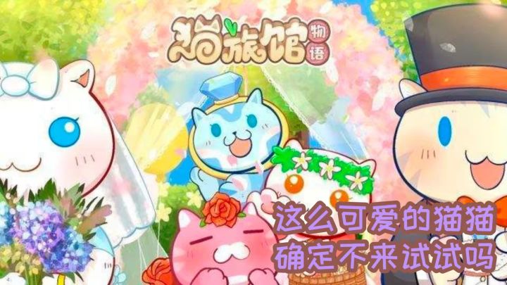 # 新游观察局 #猫也能服务客人？《猫旅馆物语》截图