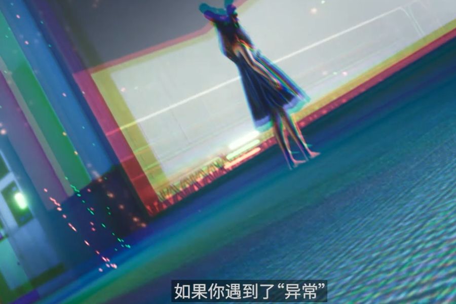 video-3065958