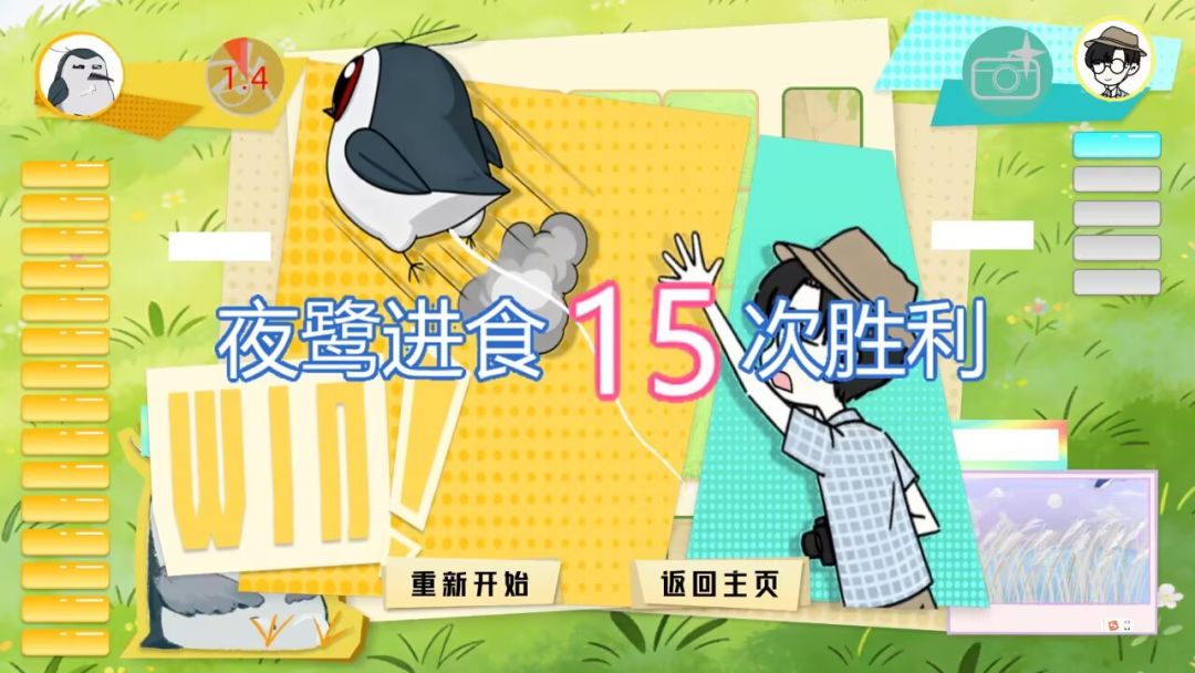 节奏观鸟Bird Must Masked游戏截图