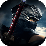 [NINJA GAIDEN: Master Collection] NINJA GAIDEN Σ2