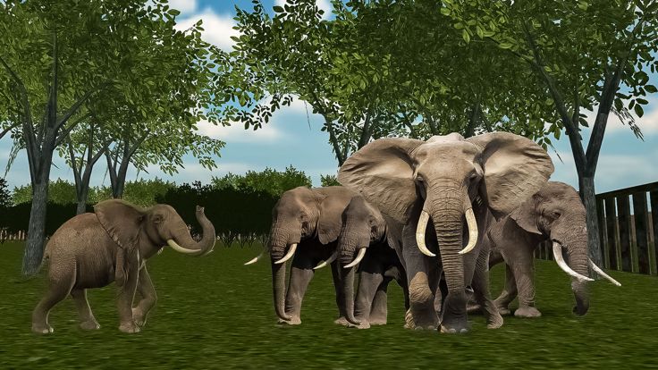 Animal Shelter 3D Safari Zoo游戏截图