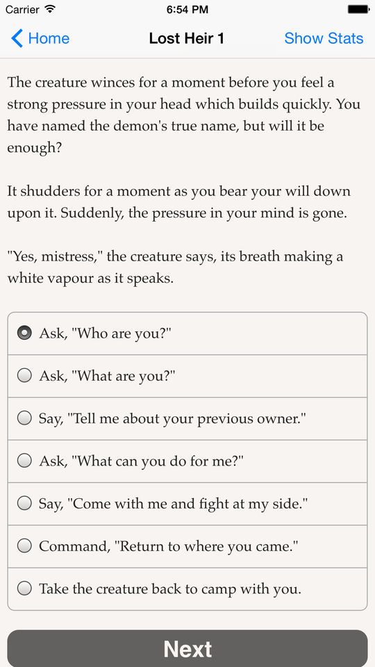 The Lost Heir游戏截图