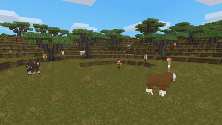 Desert Craft: Sandy Shores游戏截图