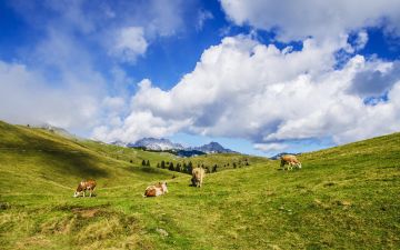 虫虫物语：小与大