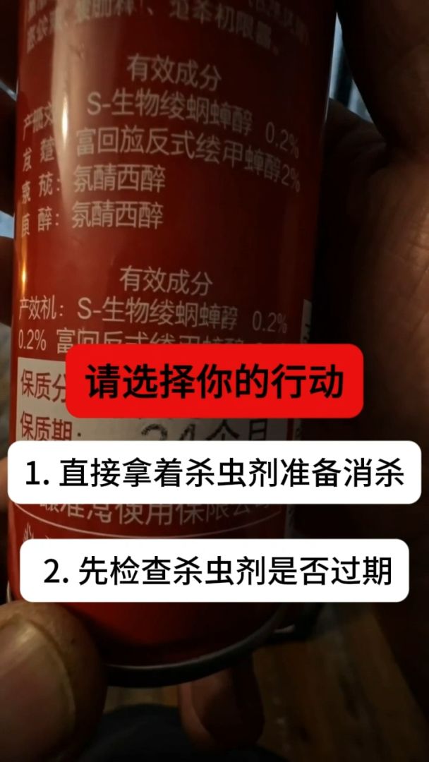 门外诡域游戏截图