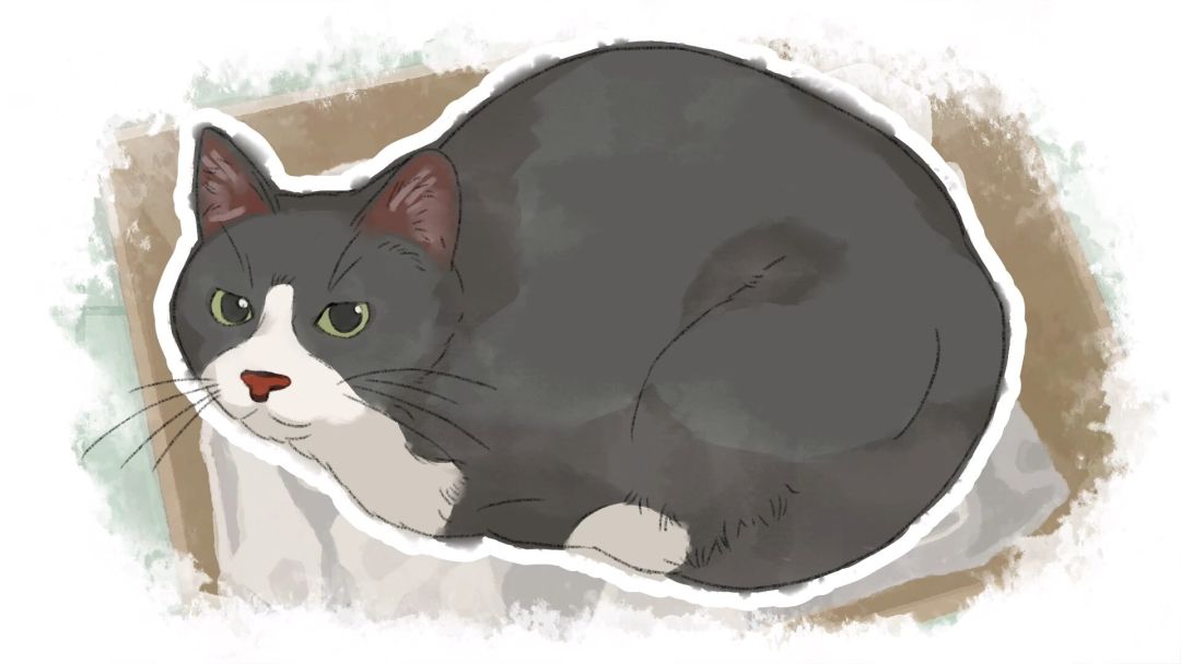 Dear me, I was...游戏截图