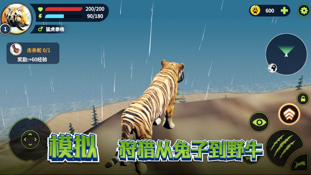 野生老虎模拟器游戏截图