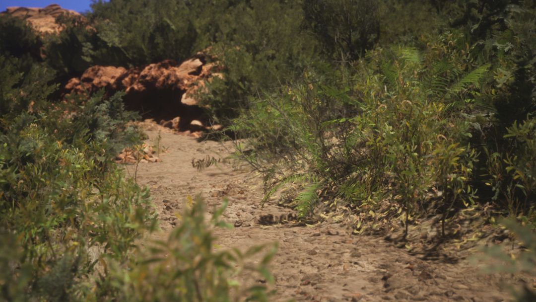 Castle Rock Beach, West Australia游戏截图
