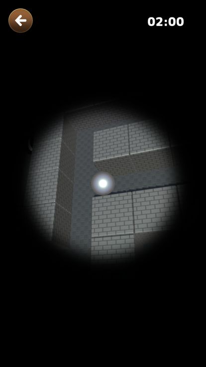 Maze Ball Random游戏截图