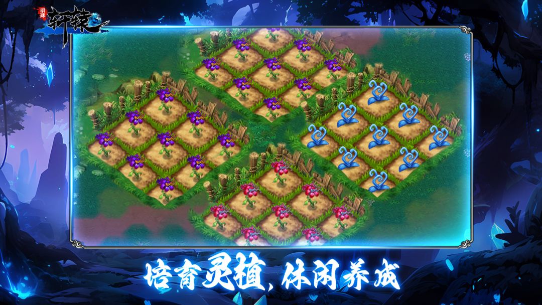 明珠轩辕游戏截图