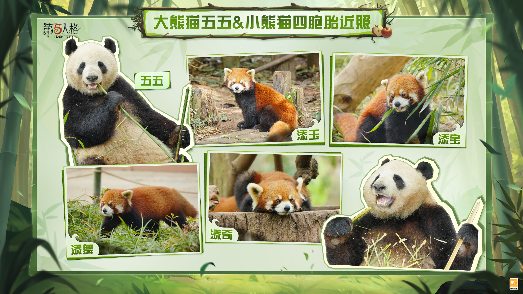 熊猫系列