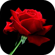 Fairytale Mosaics Beauty And The Beast 2