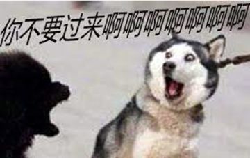 【伐伐随手拍】战场生草，伐伐有料，分享赢取红包封面！（已开奖）