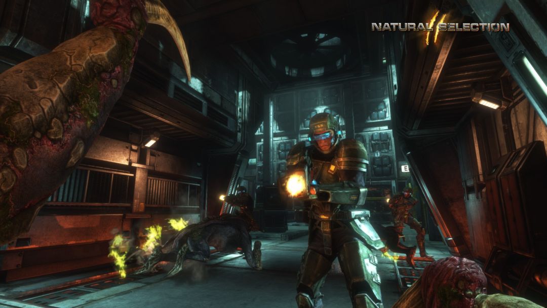 Natural Selection 2游戏截图