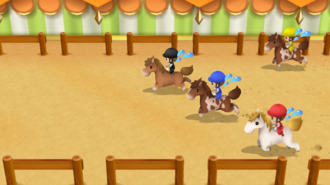 STORY OF SEASONS: Friends of Mineral Town游戏截图
