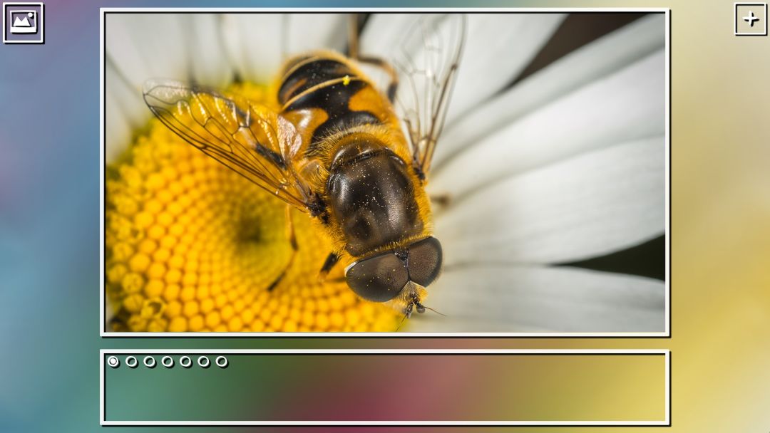 Super Jigsaw Puzzle: Generations游戏截图